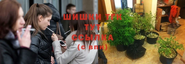 дурь Лабытнанги