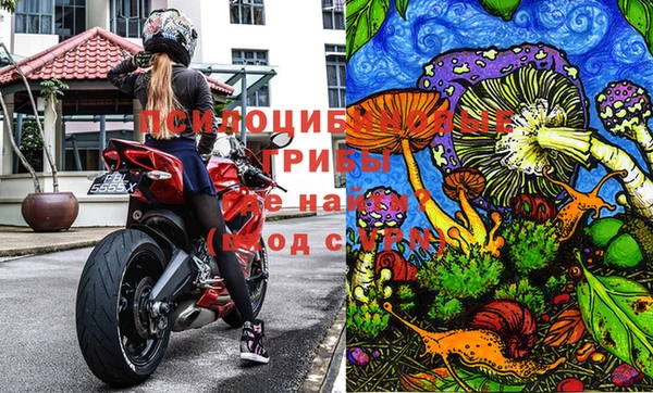молекула духа Кукмор