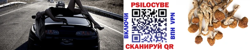 Галлюциногенные грибы ЛСД Судогда